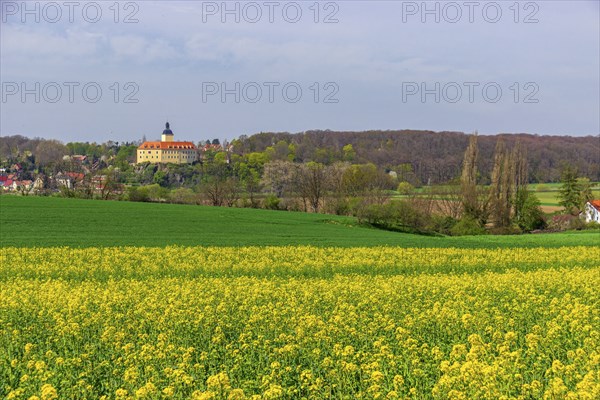 Hirschstein
