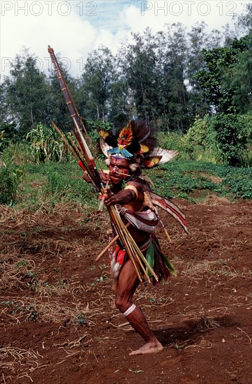 Huli wig man with bow, archer, Tari, Huli, Highlands, Papua New Guinea, Oceania