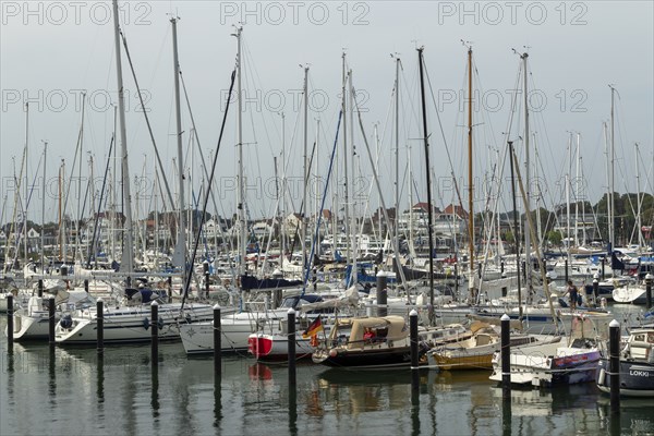 Sailing boats in the Rosenhof marina on the Priwall, seaside resort of Travemünde, Hanseatic city