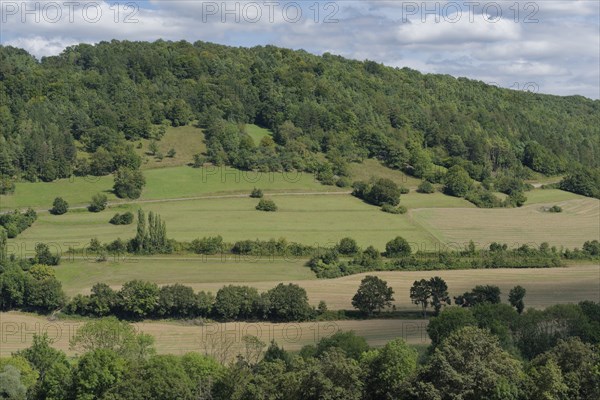 Jagst valley near Mulfingen, August, summer, Jagst slope, river slope, Jagst valley slope, Jagst,
