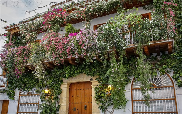 Low angel view of a traditional building with wooden balcony and green flowering plants in Old Town