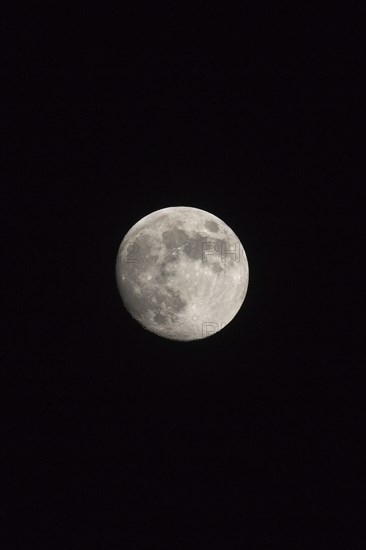 Waxing gibbous Moon, portrait orientated image in photo dimensions with Moon isolated on black