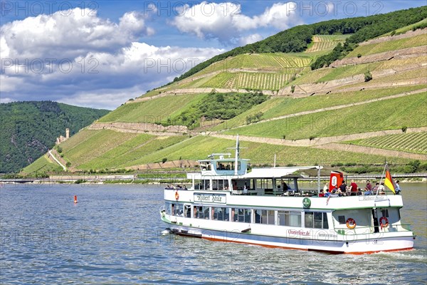 Rüdesheim, castle tour, Ehrenfels castle ruins