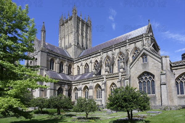 Camery Garden, Wells Cathedral, Wells, England, Great Britain