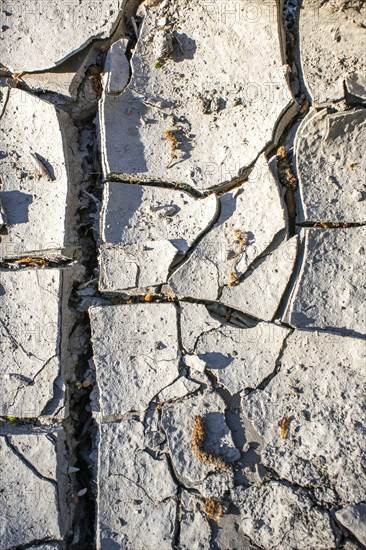Dried out soil Lack of rain