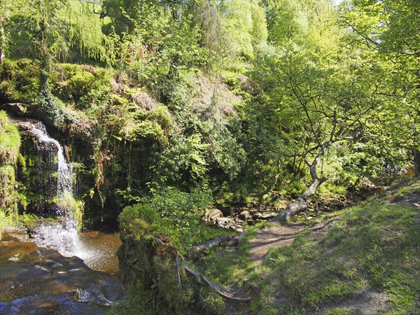 Lumb hole falls a waterfall in woodland at crimsworth dean near pecket well in calderdale west