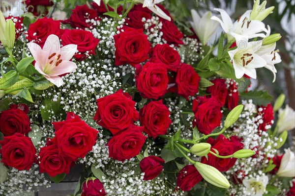 Bouquet of red roses and lilies with gypsophila