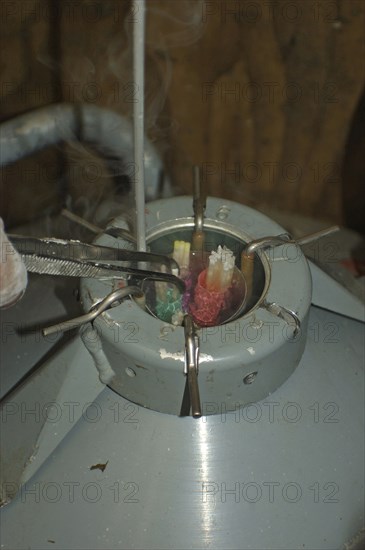 Vet removes semen straws from semen tank for artificial insemination of deer, cattle, sheep, goats