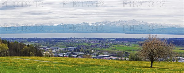 Spring meadow on Lake Constance with a view of the Alps in foehn weather, taken on the Gehrenberg