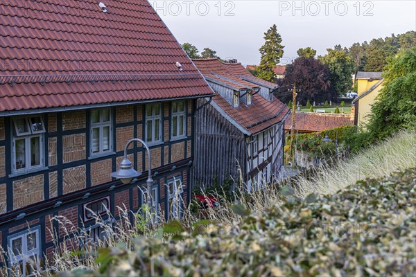 Pictures from Blankenburg Castle Park