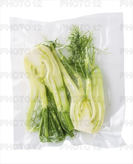 Vacuum sealed fresh fennel for sous vide cooking cutout on white