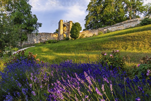 Pictures from Blankenburg Castle Park
