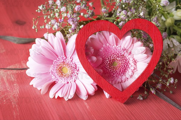 Greeting card idea with pink chrysanthemum and a red decorative heart leaned against them, on a red