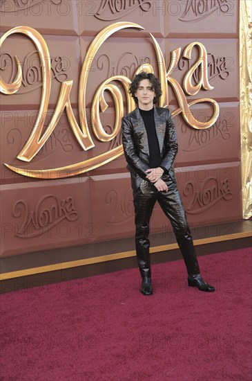 Timothee Chalamet at the Los Angeles premiere of 'Wonka' held at the Regency Village Theater in