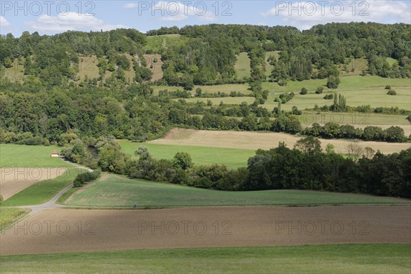 Jagst valley near Mulfingen, August, summer, Jagst slope, river slope, Jagst valley slope, Jagst,