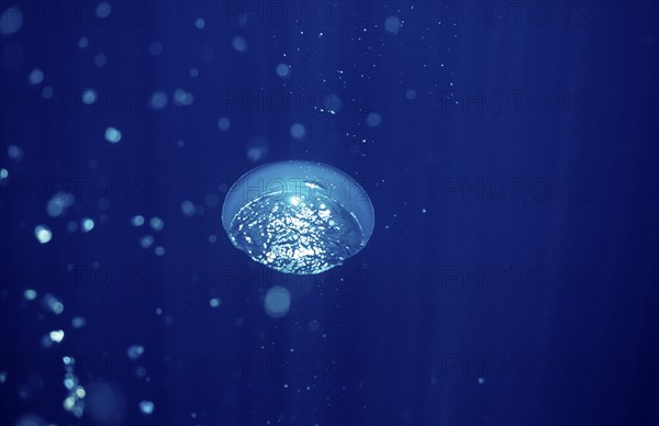 Air bubbles in the water, Mexico, Lake Cortez, Lower California, La Paz, Central America