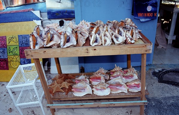 Shells and sea snails as souvenirs, Punta Cana, Caribbean, Dominican Republic, Central America