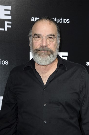 Mandy Patinkin at the Los Angeles premiere of 'Life Itself' held at the ArcLight Cinemas in