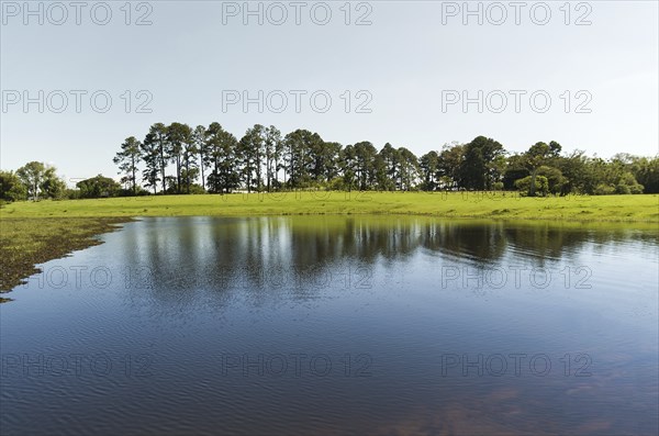 Landscape of the gaucho mountain range, araucarias, mountains and rivers. City of Bom Jesus, São