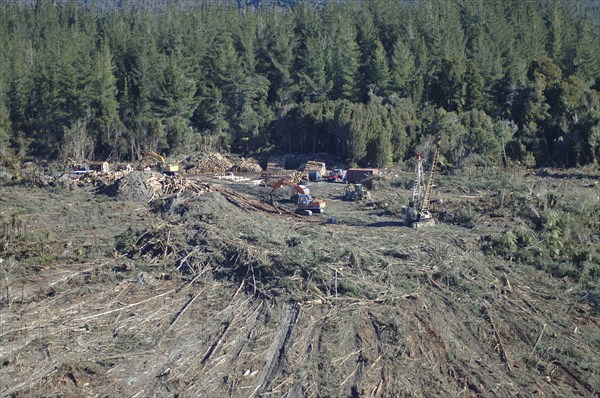 Harvesting Pinus radiata on hill top using a hauler (at right) and diggers (at left) to load tree
