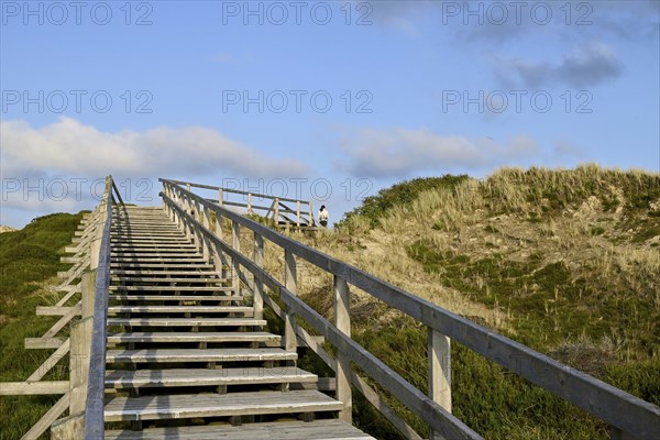 Boardwalk in the Amrum dunes nature reserve near Norddorf, Amrum, North Frisian Island, North