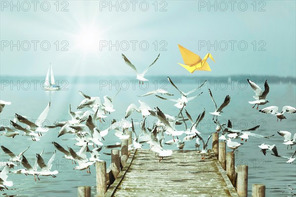 Yellow origami bird and soaring seagulls, jetty on a lake