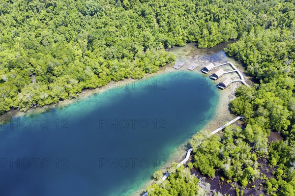 Aerial view of Janggelo Island, Raja Ampat, West Papua, Indonesia, Asia