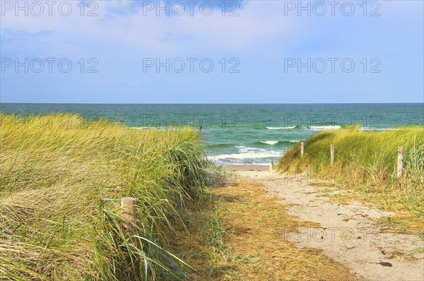 Dune crossing on the beach at Zingst. Dune grass, white sand and the blue Baltic Sea. Landscape