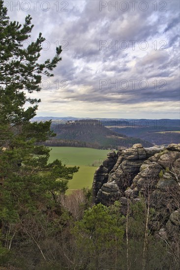 View from the Pfaffenstein. Forests, mountains, vastness, panorama. Landscape from the Elbe