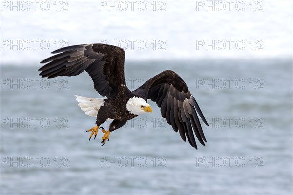 Natural scene from shore of lake Michigan