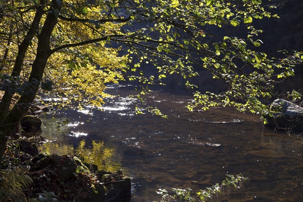 Fluss Ilz im Bayerischen Wald, Fluss Ilz im Bayerischen Wald
