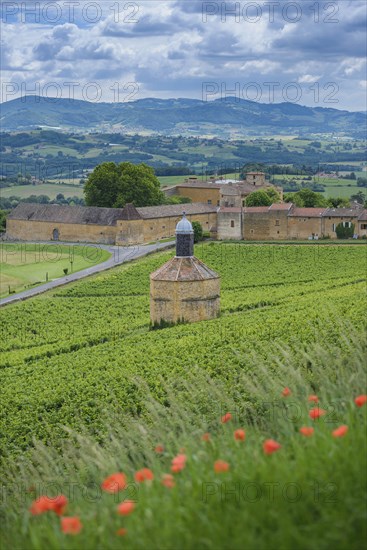 Bagnols village and landscape, Beaujolais, France, Europe
