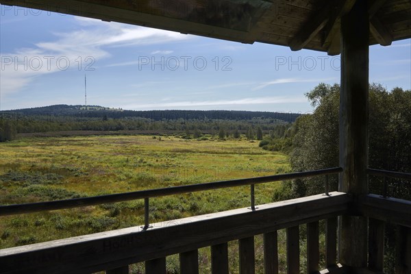 Rotes Moor, view from the observation tower of the former peat extraction area, now renaturalised