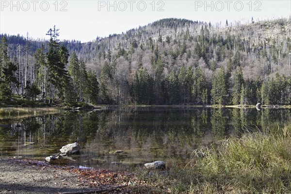 Rachelsee, Bavarian Forest, lake in bavarian forest