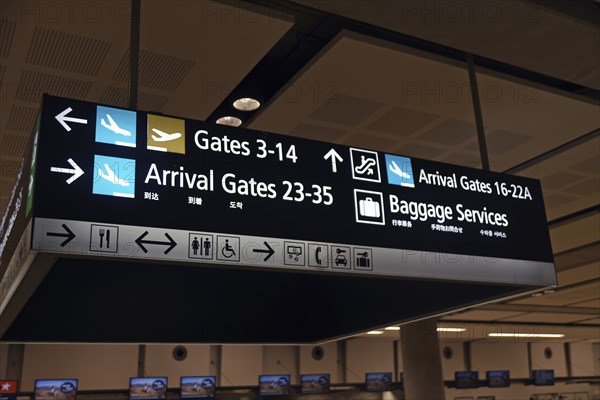 Airport signage directing passengers on international and domestic flights