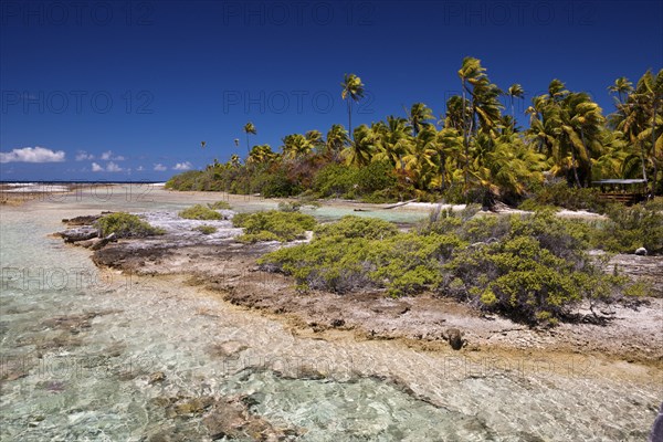 Tetamanu Village Lagoon, Fakarava, Tuamotu Archipelago, French Polynesia, Oceania