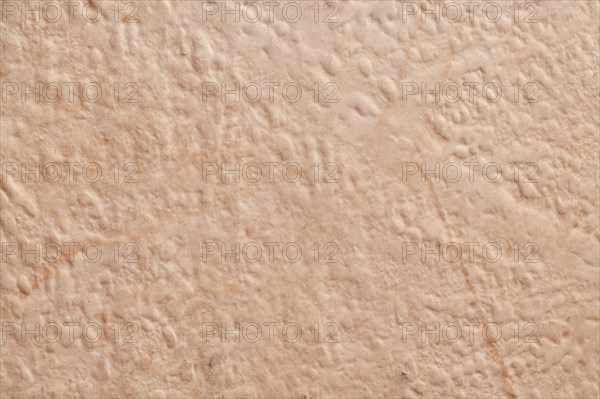 Light beige, roughly plastered house wall as full-format background
