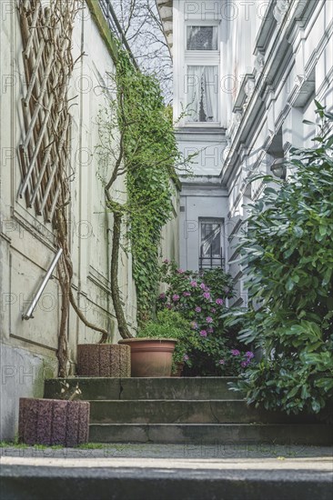 Narrow courtyard with a few steps, surrounded by green foliage and a white building in the