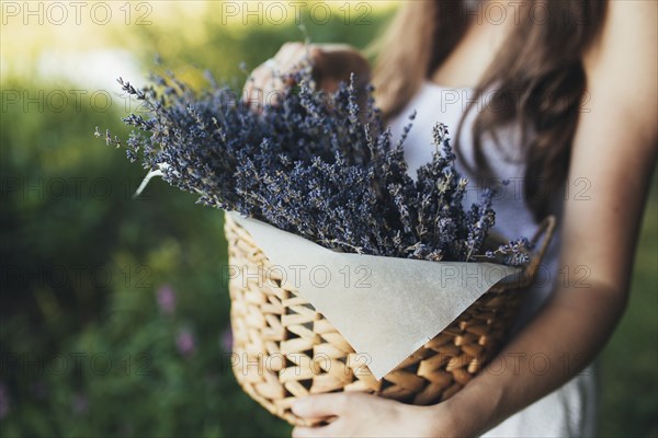 Girl is holding purple lavender flowers in the wooden box.