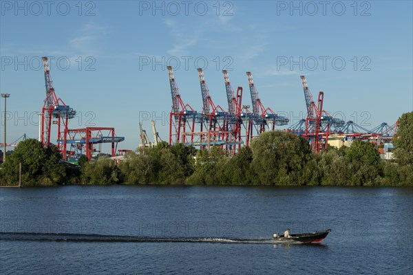 Symbolic picture weather, summer, view from Finkenwerder to motorboat, green vegetation on the