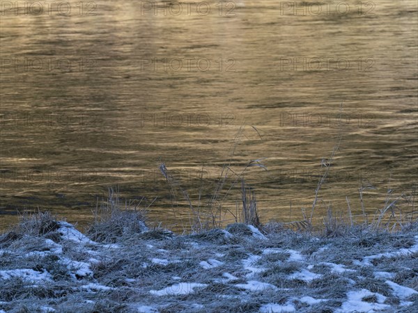 Riverbank of the Saale
