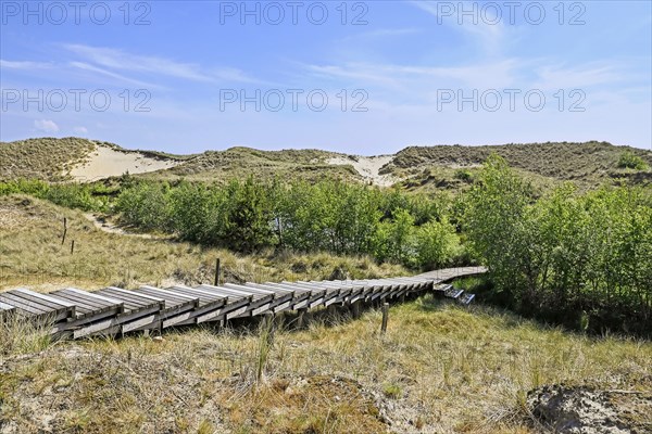 Boardwalk in the Amrum dunes nature reserve near Wittdün, Amrum, North Frisian Island, North