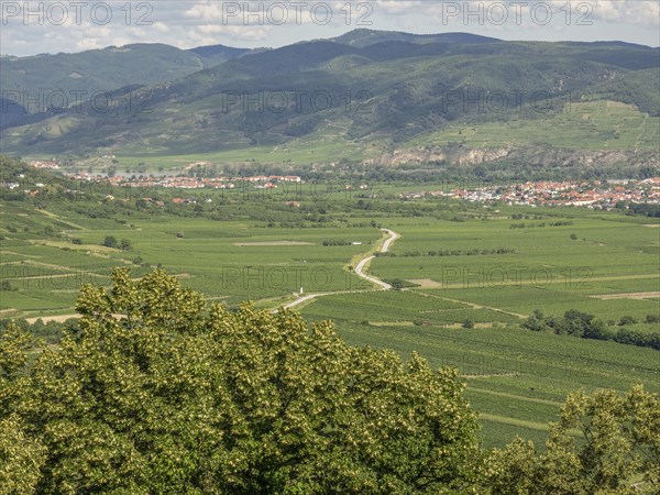 Green landscape with extensive fields and hilly surroundings, Dürnstein, Wachau, Danube, Austria,
