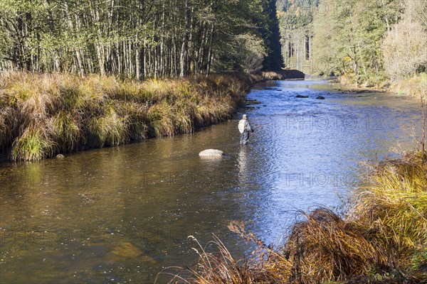 Fluss Ilz im Bayerischen Wald, Fluss Ilz im Bayerischen Wald