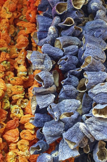 Dried eggplant vegetables at strings