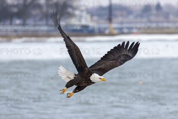 Natural scene from shore of lake Michigan