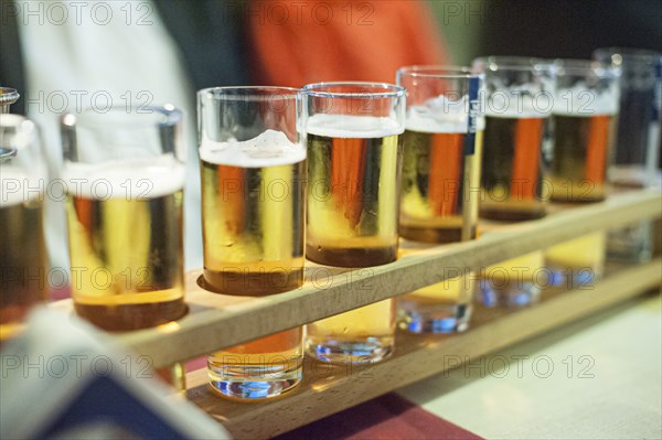 Long row of beer in tall glasses