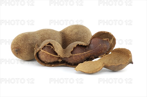 Tamarind fruits, whole and cracked open isolated on white background (Tamarindus indica)