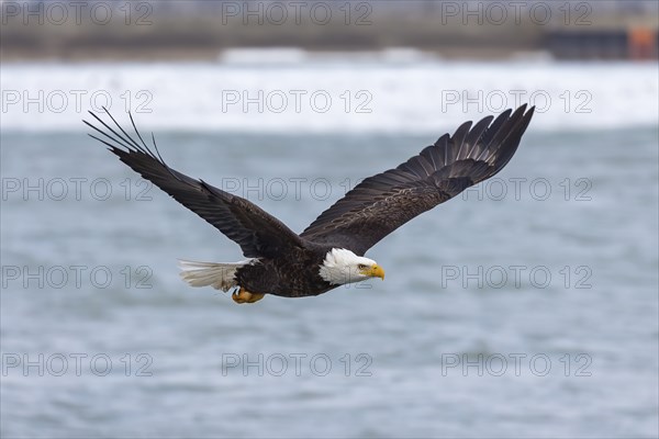 Natural scene from shore of lake Michigan