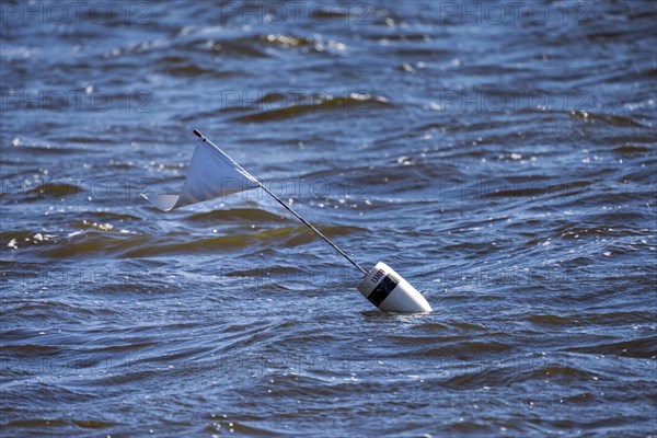 Employees of the Wisconsin Department of Natural Resources, DNR, set fish traps and mark them with